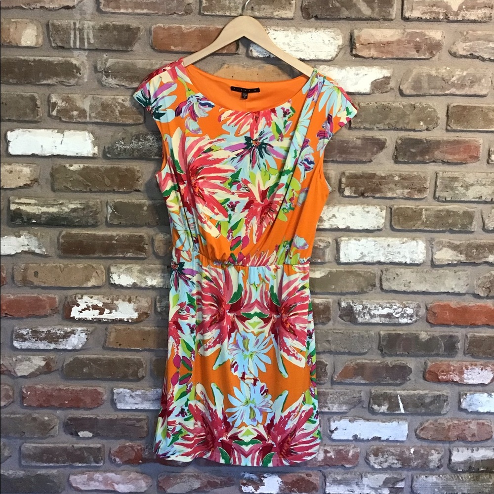 TIANA B. Orange Tropical Floral Stretch Dress